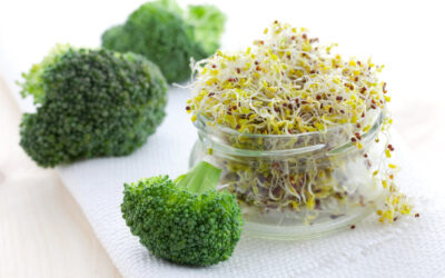 Eat Your Damn Broccoli!