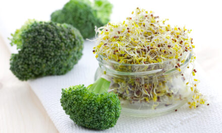 Eat Your Damn Broccoli!